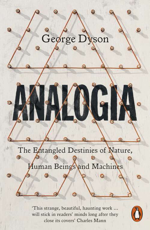 Book cover of Analogia: The Entangled Destinies of Nature, Human Beings and Machines