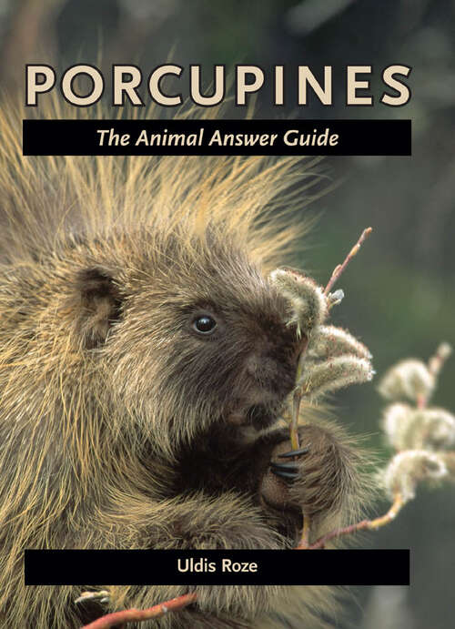 Book cover of Porcupines: The Animal Answer Guide (The Animal Answer Guides: Q&A for the Curious Naturalist)