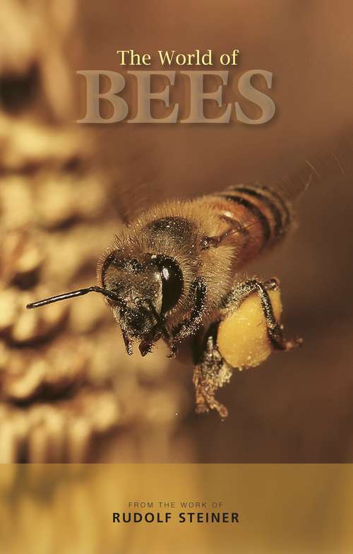 Book cover of The World of Bees
