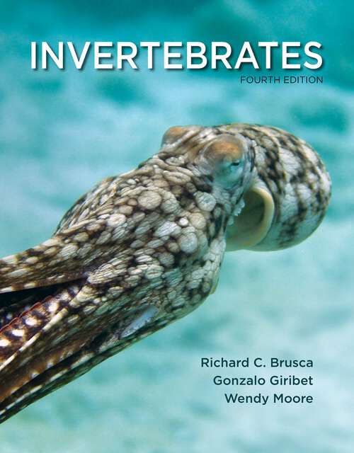 Book cover of Invertebrates