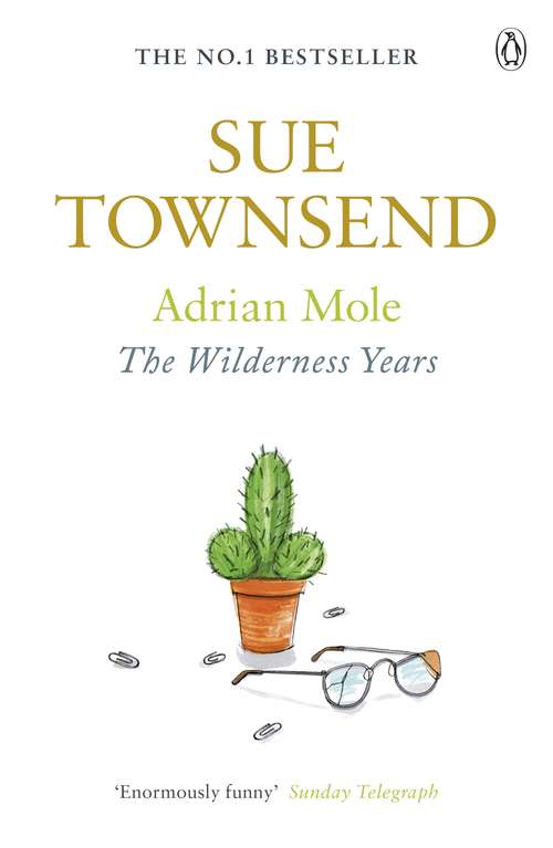 Book cover of Adrian Mole: The Wilderness Years (The\adrian Mole Ser. #4)