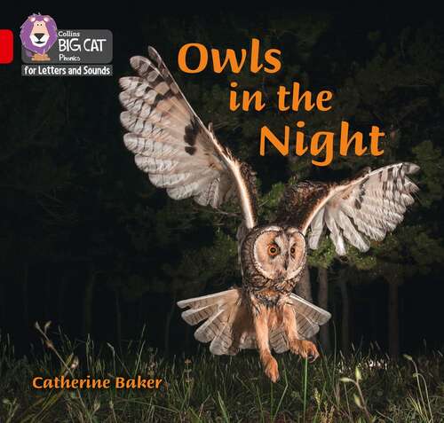 Book cover of Collins Big Cat Phonics for Letters and Sounds — OWLS IN THE NIGHT: Band 02B/Red B: Band 02b/red B (Collins Big Cat Phonics For Letters And Sounds Ser.)