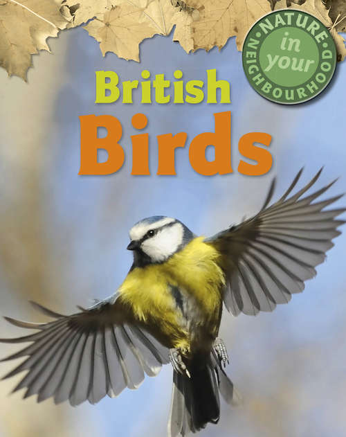 Book cover of British Birds (Nature in Your Neighbourhood #3)