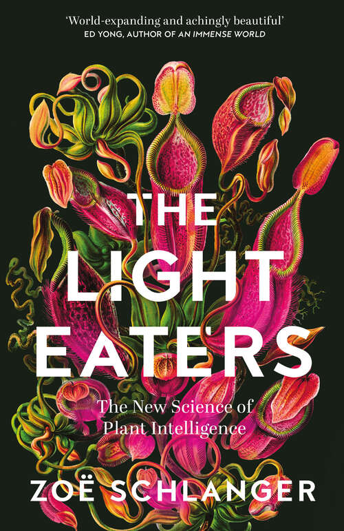 Book cover of The Light Eaters