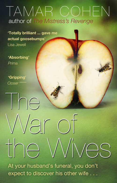 Book cover of The War of the Wives