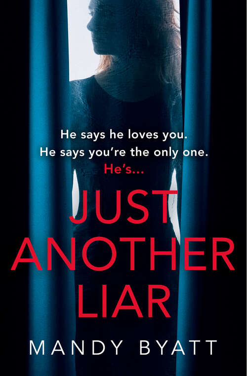 Book cover of Just Another Liar