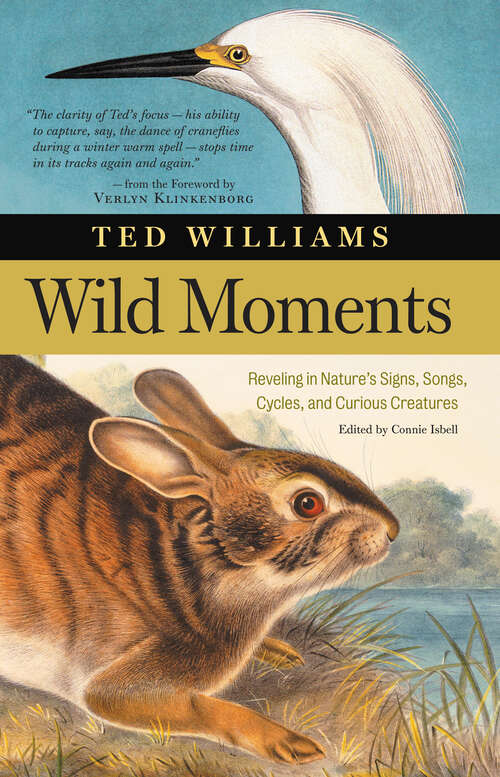 Book cover of Wild Moments