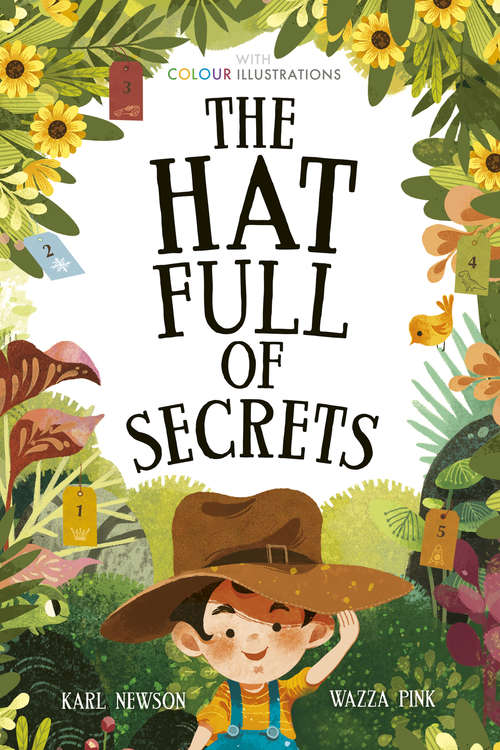 Book cover of The Hat Full of Secrets (Colour Fiction)