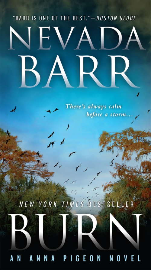 Book cover of Burn: A spellbinding mystery of New Orleans (Anna Pigeon Mysteries #16)