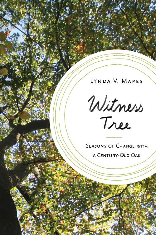 Book cover of Witness Tree: Seasons of Change with a Century-Old Oak