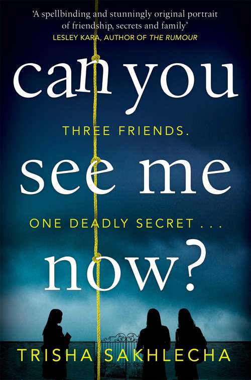 Book cover of Can You See Me Now?