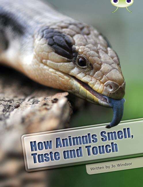 Book cover of Bug Club, White: How Animals Smell, Taste and Touch (PDF)