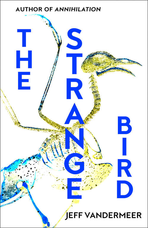 Book cover of The Strange Bird: A Borne Story (ePub edition)