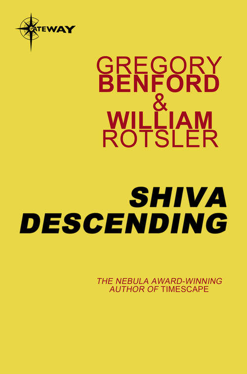 Book cover of Shiva Descending