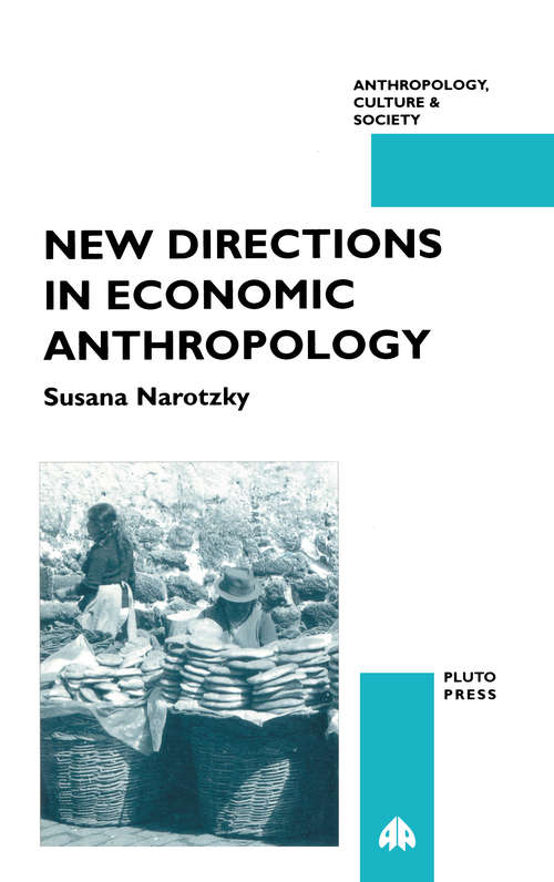 Book cover of New Directions in Economic Anthropology (Anthropology, Culture and Society)