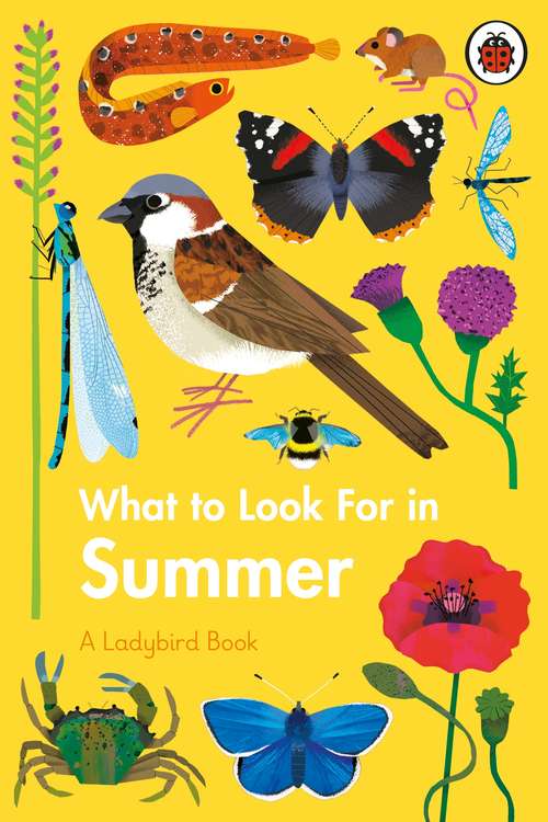 Book cover of What to Look For in Summer (A\ladybird Book Ser.)