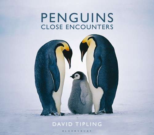 Book cover of Penguins: Close Encounters