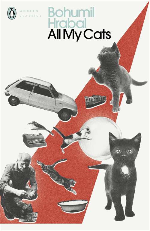 Book cover of All My Cats (Penguin Modern Classics)