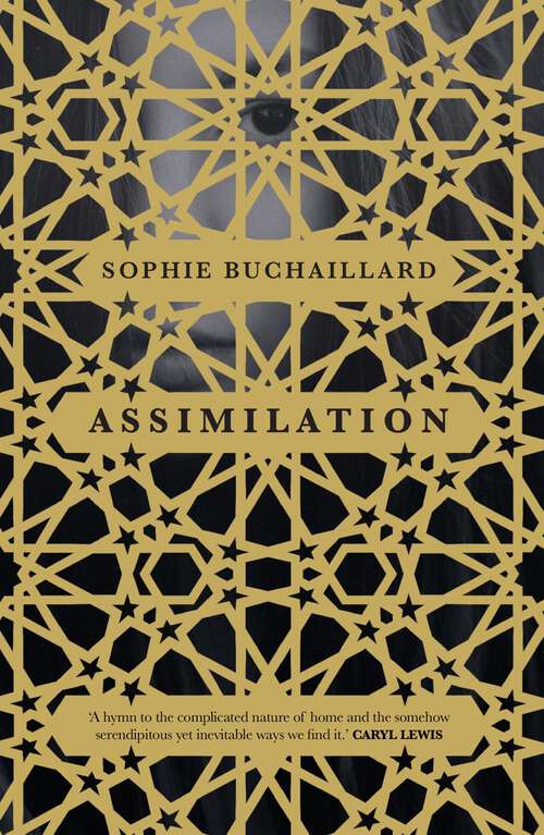 Book cover of Assimilation