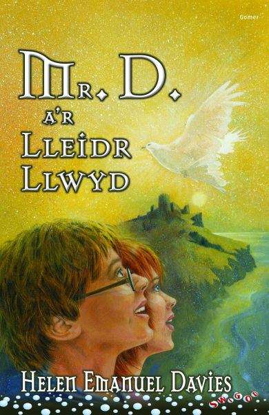 Book cover of Mr D a'r Lleidr Llwyd (Cyfres Swigod)