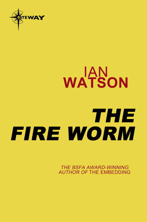 Book cover of The Fire Worm