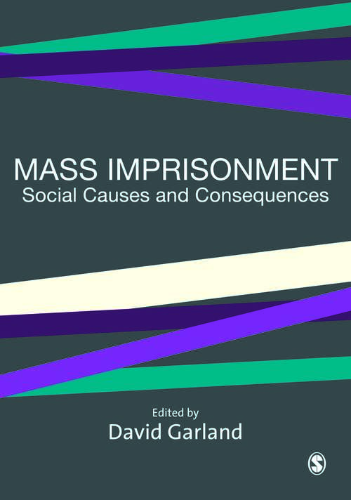 Book cover of Mass Imprisonment: Social Causes and Consequences (PDF)