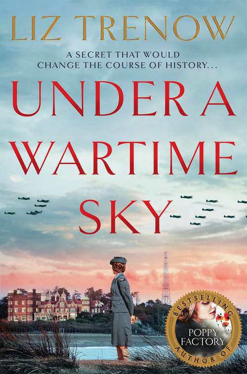 Book cover of Under a Wartime Sky