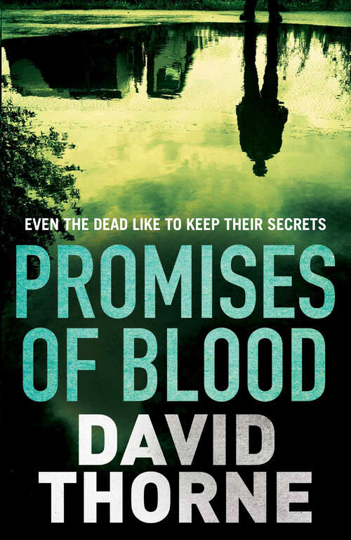 Book cover of Promises of Blood (Main) (Daniel Connell Series #3)