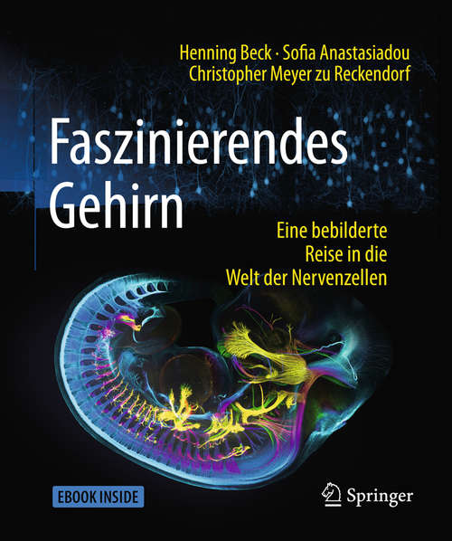 Book cover of Faszinierendes Gehirn: Eine bebilderte Reise in die Welt der Nervenzellen