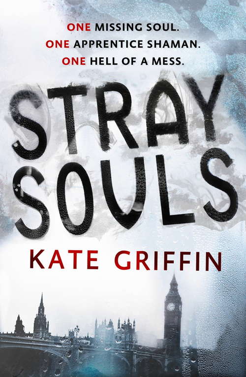 Book cover of Stray Souls (Magicals Anonymous #1)