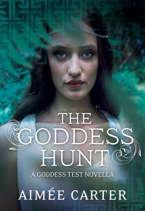 Book cover of The Goddess Hunt (ePub First edition) (A Goddess Series short story)