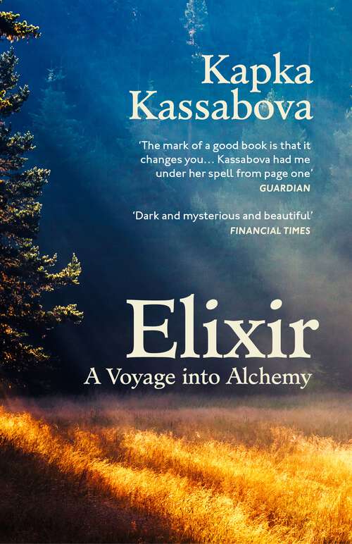 Book cover of Elixir: In the Valley at the End of Time