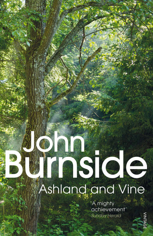 Book cover of Ashland & Vine