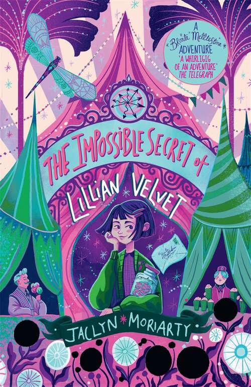 Book cover of The Impossible Secret of Lillian Velvet