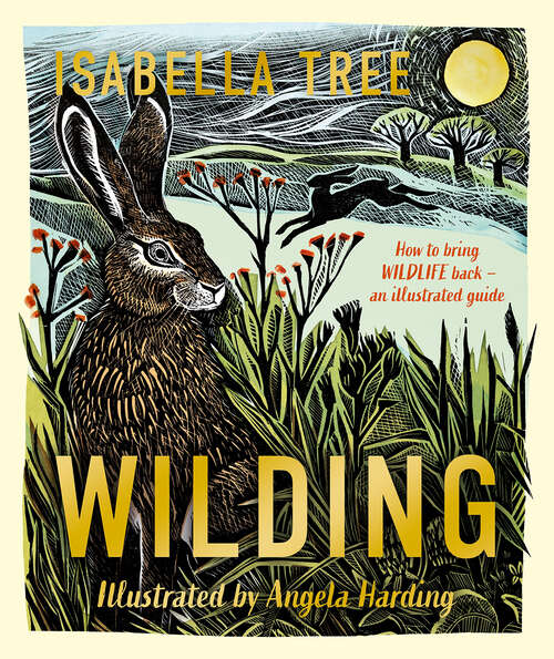 Book cover of Wilding: How To Bring Wildlife Back - An Illustrated Guide