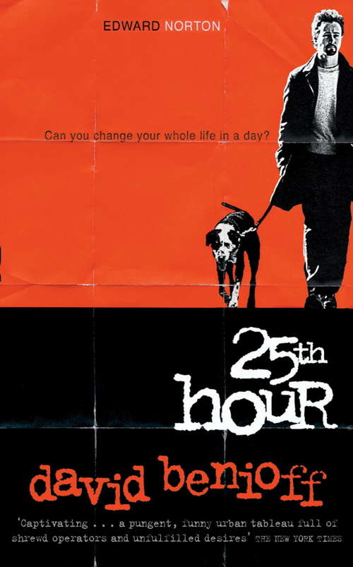 Book cover of The 25th Hour