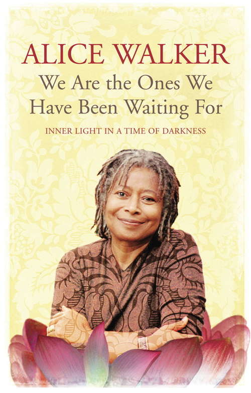 Book cover of We Are The Ones We Have Been Waiting For: Inner Light In A Time of Darkness