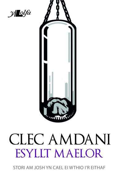 Book cover of Clec Amdani (Cyfres Copa)