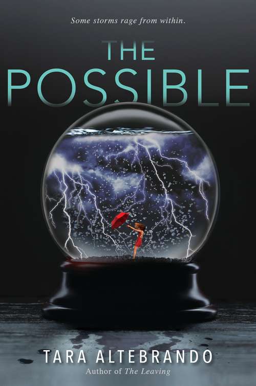 Book cover of The Possible