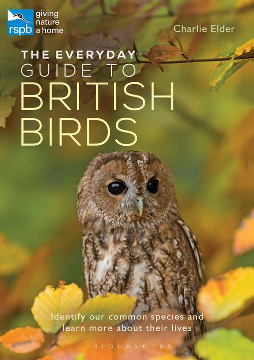 Book cover of The Everyday Guide to British Birds: Identify our common species and learn more about their lives