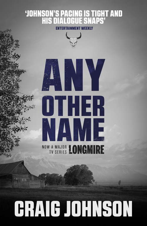 Book cover of Any Other Name (A Walt Longmire Mystery #10)