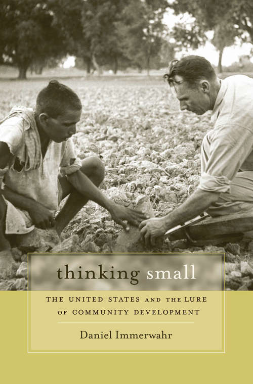 Book cover of Thinking Small: The United States and the Lure of Community Development