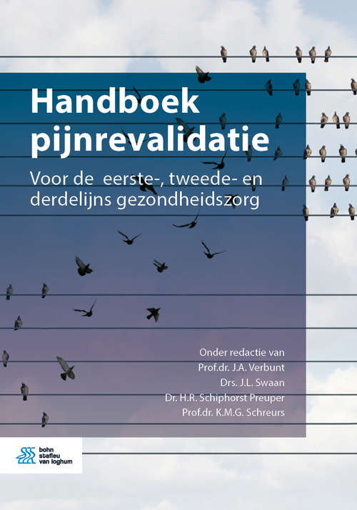Book cover of Handboek pijnrevalidatie: Voor de  eerste-, tweede- en derdelijns gezondheidszorg (1st ed. 2019)