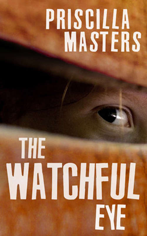Book cover of The Watchful Eye
