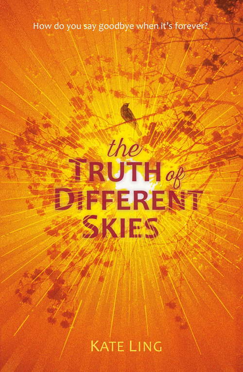 Book cover of The Truth of Different Skies: Book 3 (Ventura Saga)