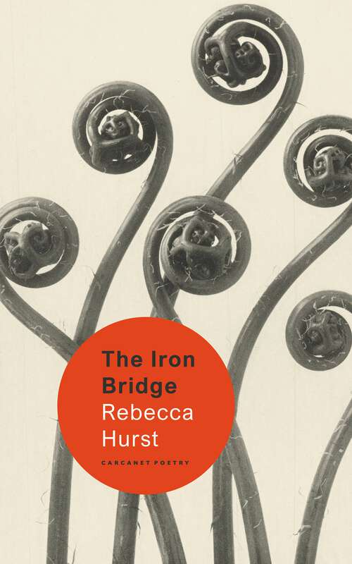 Book cover of The Iron Bridge