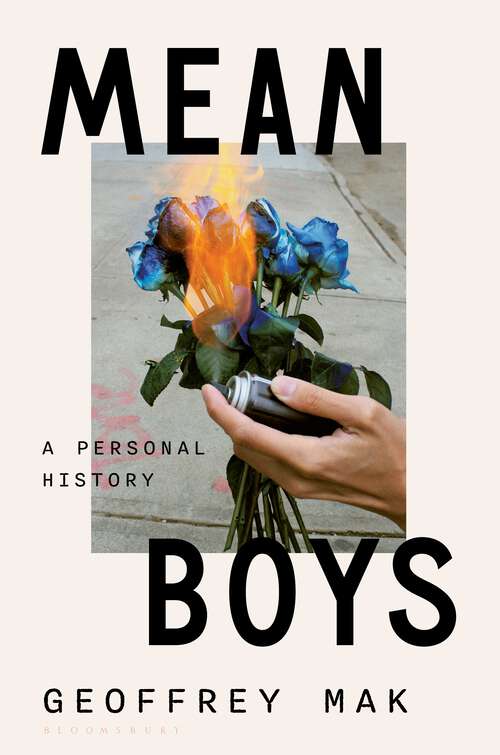 Book cover of Mean Boys: A Personal History