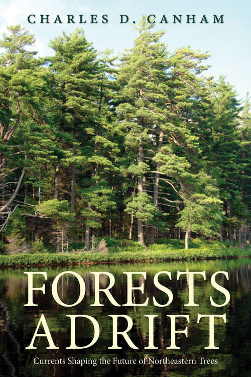 Book cover of Forests Adrift: Currents Shaping the Future of Northeastern Trees (The Future Series)