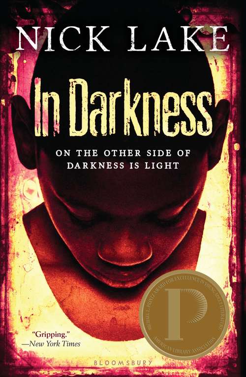Book cover of In Darkness