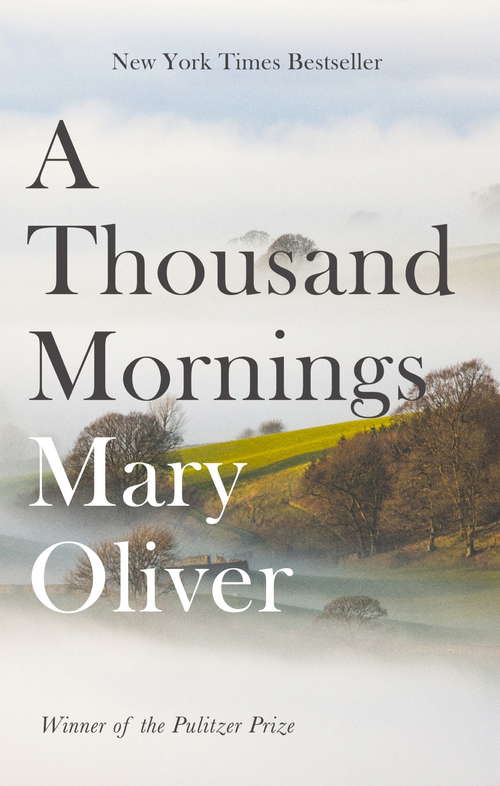 Book cover of A Thousand Mornings: Poems